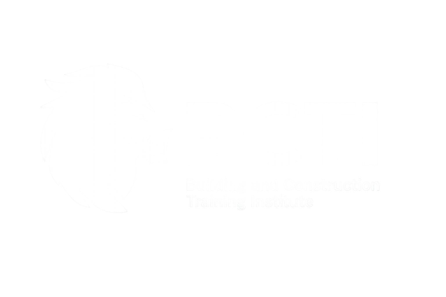 BCTI